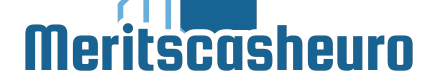 Meritscasheuro